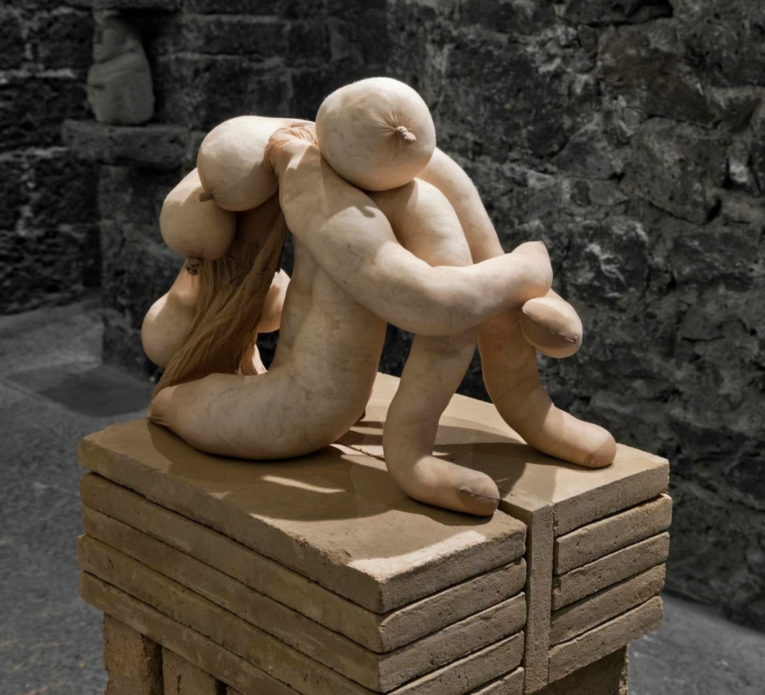 realidad, 2012
alambre de aluminio cubierto con cinta adhesiva, algod&amp;oacute;n natural, medias de lycra, ladrillos de adobe
42 x 57 x 40 cm

&amp;nbsp;

&amp;nbsp;