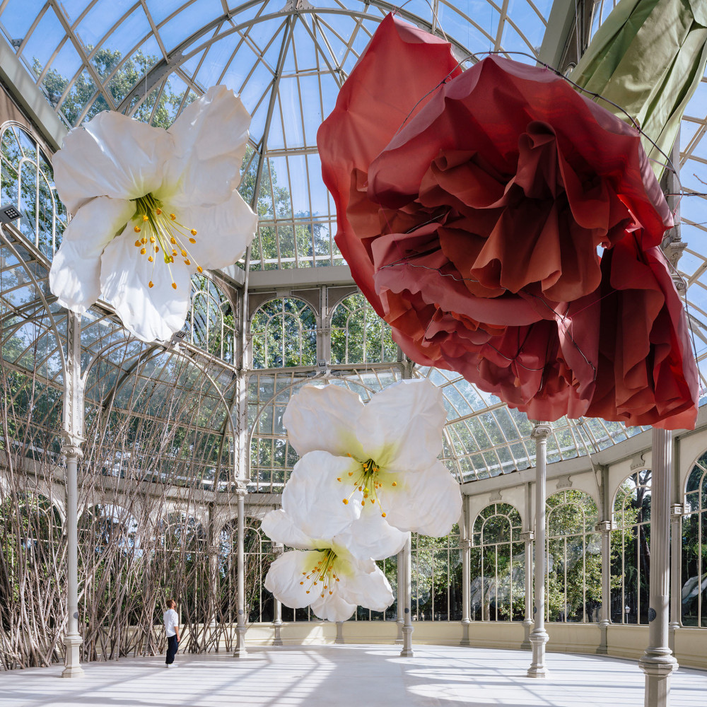 vista de instalaci&amp;oacute;n, to a raven and hurricanes that from unknown places bring back smells of humans in love&amp;nbsp;(en colaboraci&amp;oacute;n con &amp;aacute;lvaro urbano), palacio de cristal, museo reina sof&amp;iacute;a, madrid, 2020