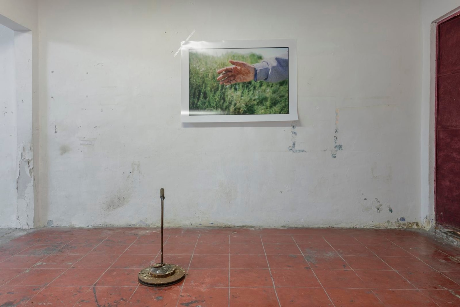 	ca&amp;iacute;da libre, mexico city, 2017