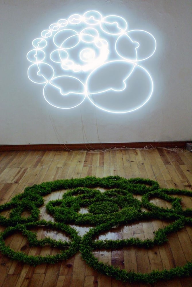 cosecha espacial, 2005

white neon, artificial plants

125.98 x 110.24 x 1.18 in. each module

&amp;nbsp;