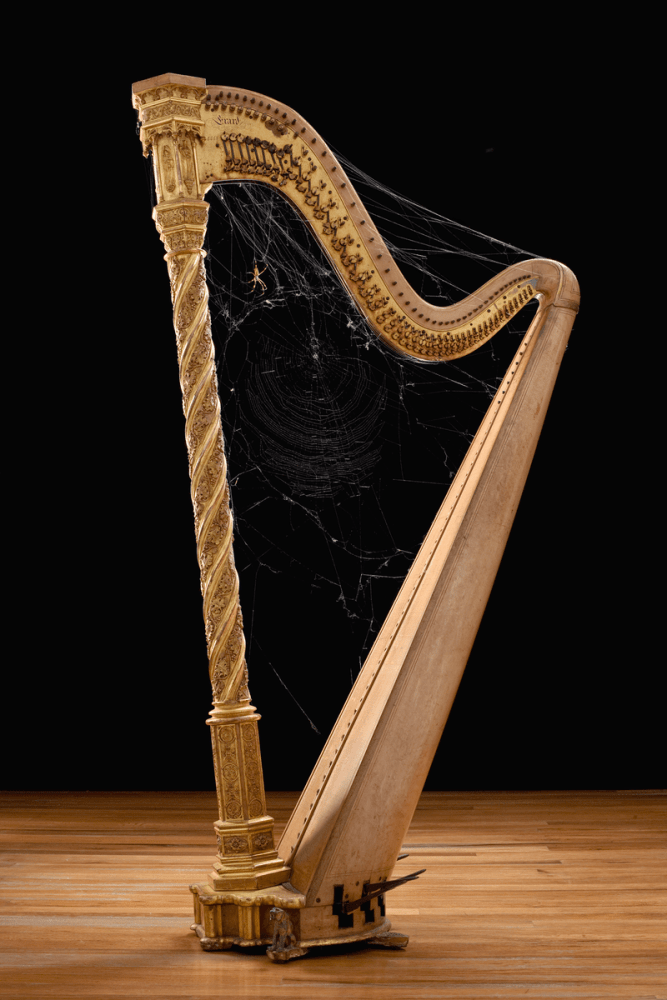 n. clavipes meets s. erard, mov. 3, 2008

digital print

35.43 x 23.62 in.

&amp;nbsp;

&amp;nbsp;