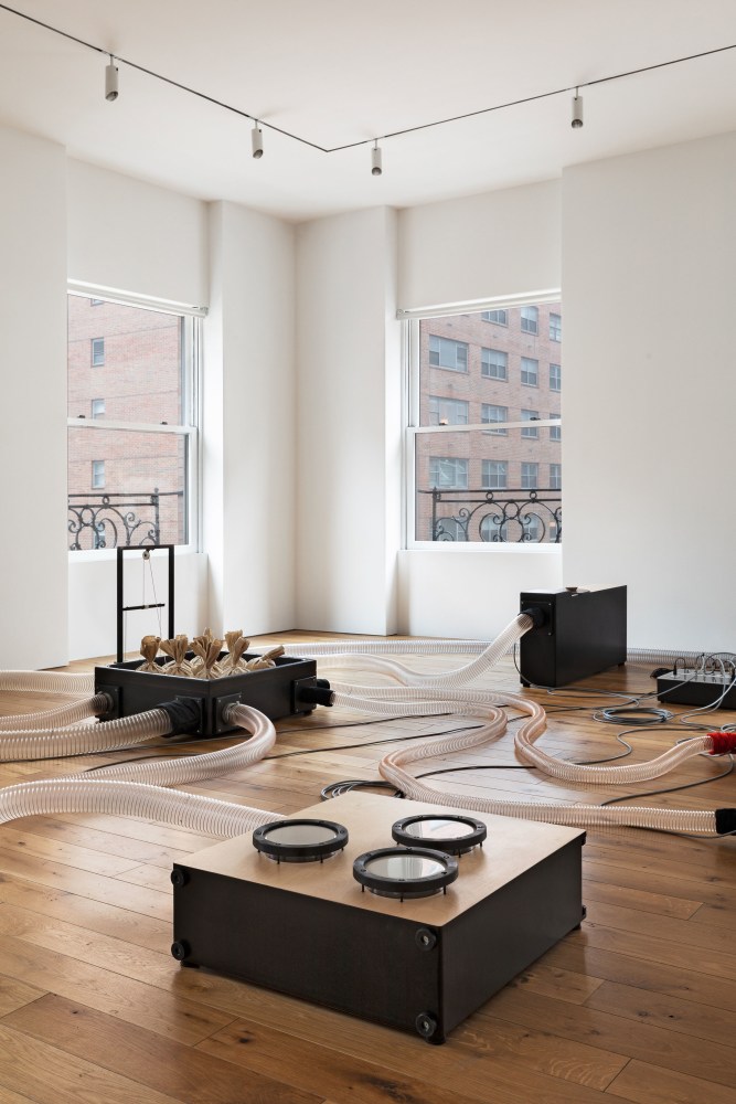the organ within, 2019

installation view, kurimanzutto, new york, 2019