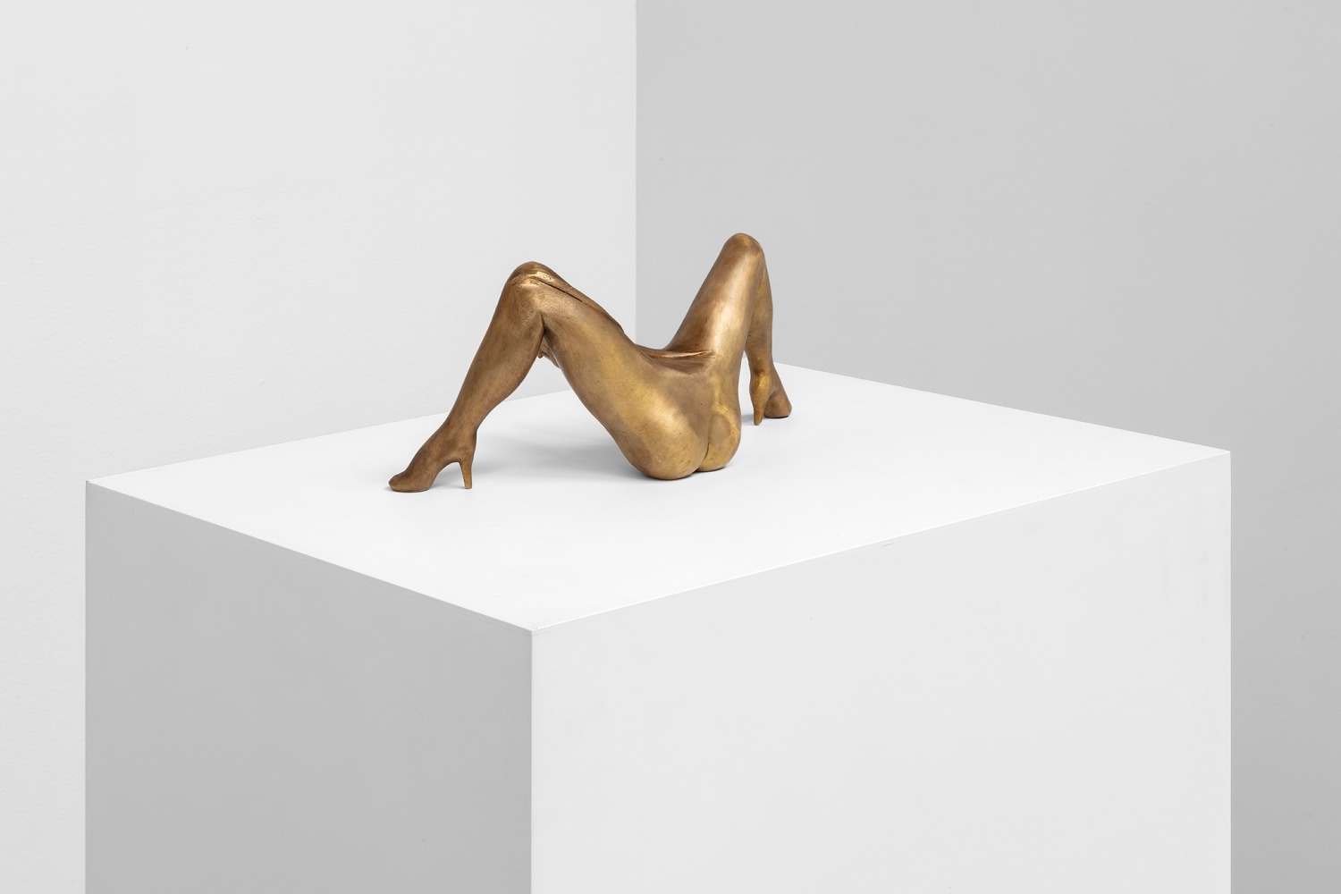 b&amp;aacute;rbara s&amp;aacute;nchez-kane, un cuerpo una instituci&amp;oacute;n, 2021