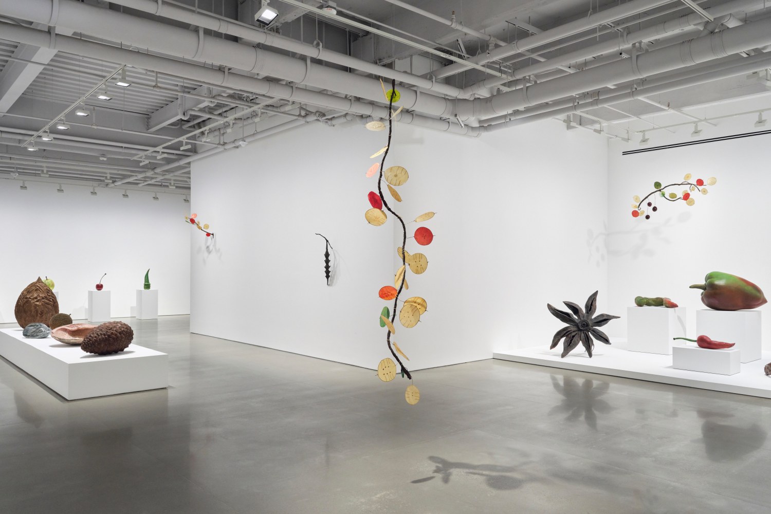 vista de instalaci&amp;oacute;n&amp;nbsp;ming fay: midnite porridge, kurimanzutto nueva york, 2025. foto: zach hyman