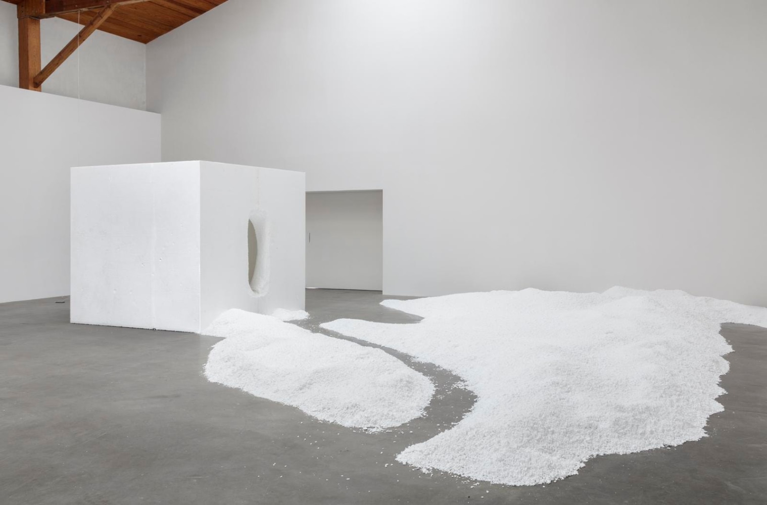 	dami&amp;aacute;n ortega	paisaje 2, 2016	installation view of xyla&amp;ntilde;ynu. Taller de los Viernes, kurimanzutto, mexico city, 2016