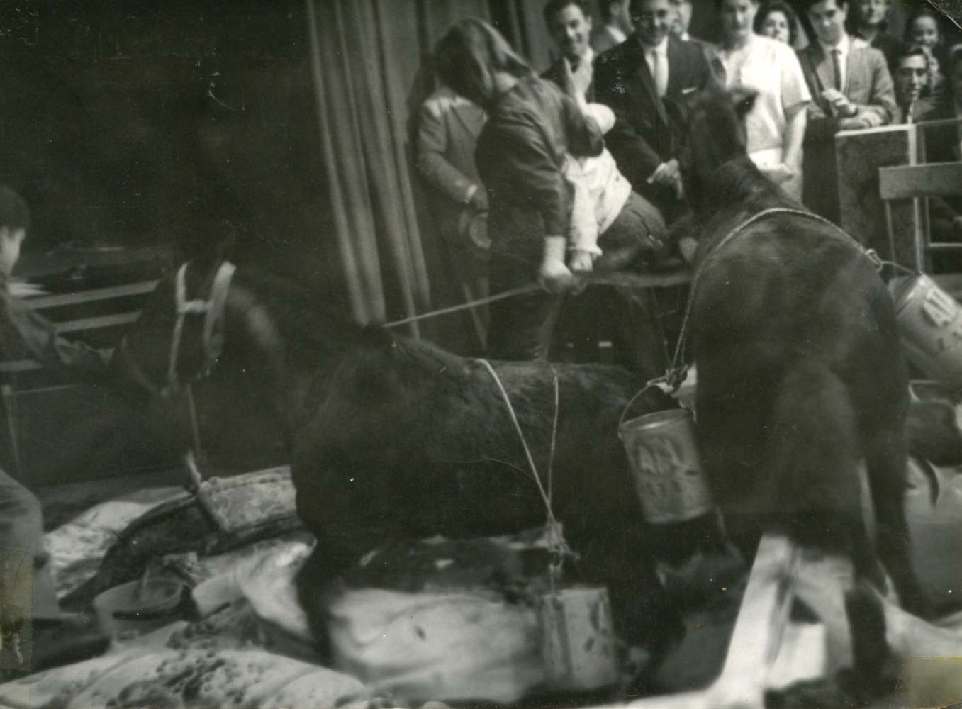 la cabalgata (cavalcade), 1964, event on the TV show la campana de cristal, live on channel 7, buenos aires. &amp;copy; marta minuj&amp;iacute;n