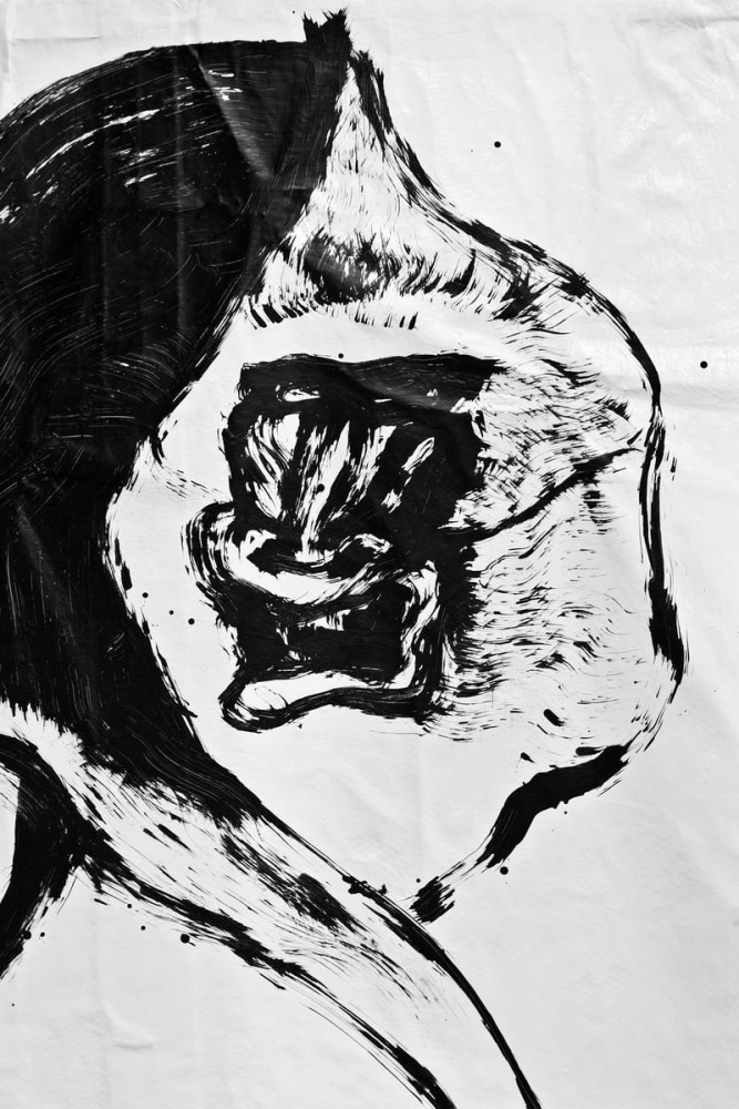 	nuestra imagen actual, kurimanzutto, mexico city, 2012