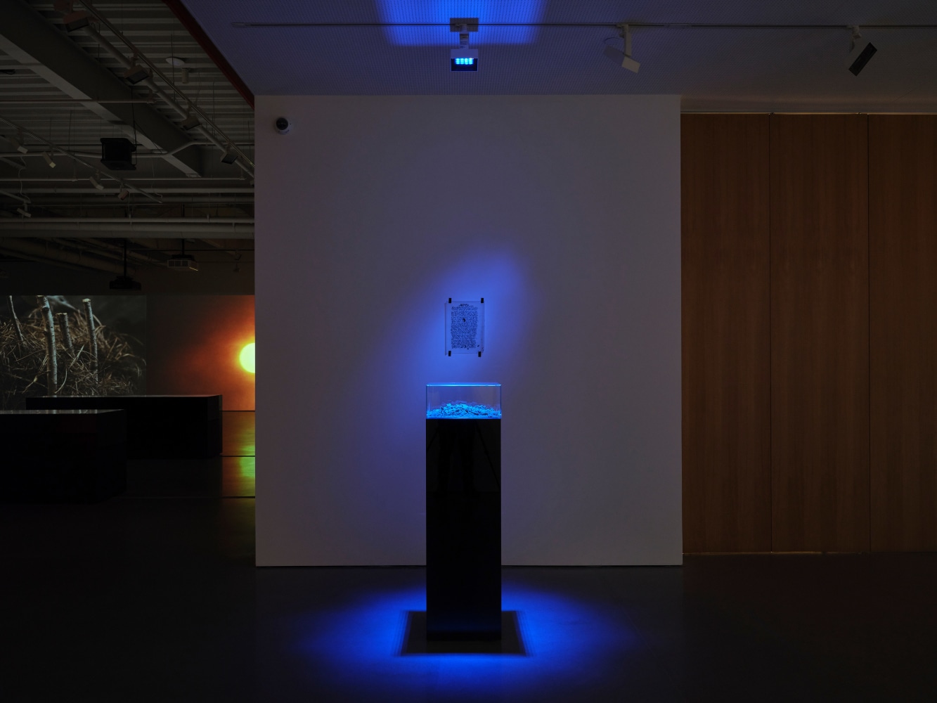 installation view soundwalk collective &amp;amp; patti smith: correspondences, kurimanzutto new york, 2025. photo: zach hyman