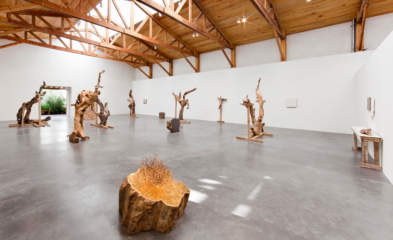 	gabriel orozco, kurimanzutto, mexico city, 2009