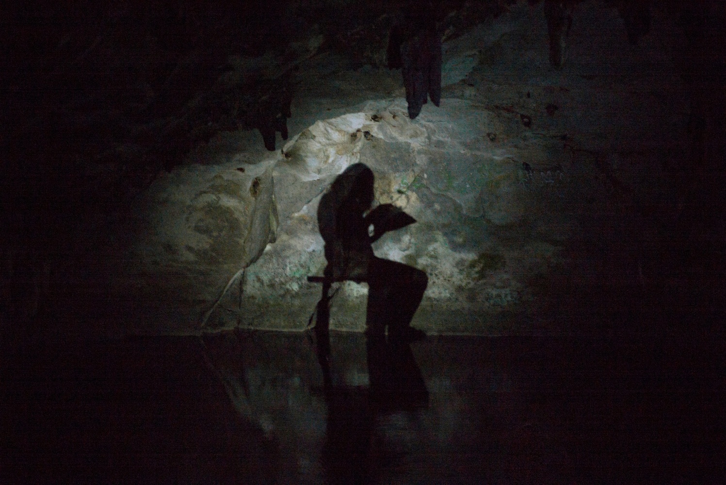 the malady of death &amp;ndash; monodrama with irene azuela, 2016
documentation of performance in cenote tza-ujun-kat, hom&amp;uacute;n, yucat&amp;aacute;n, mexico; adapted from marguerite duras&amp;#39; novella la maladie de la mort, 1982

42 min

photo: heinz peter knes, 2016