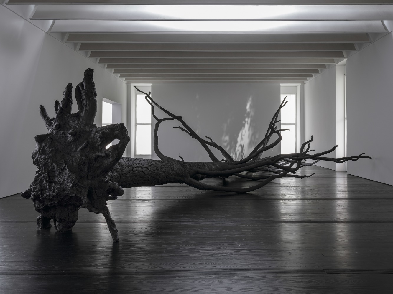 entelechy, 2020. carb&amp;oacute;n, vocalistas. vista de instalaci&amp;oacute;n de specters of noon&amp;nbsp;en menil collection, houston