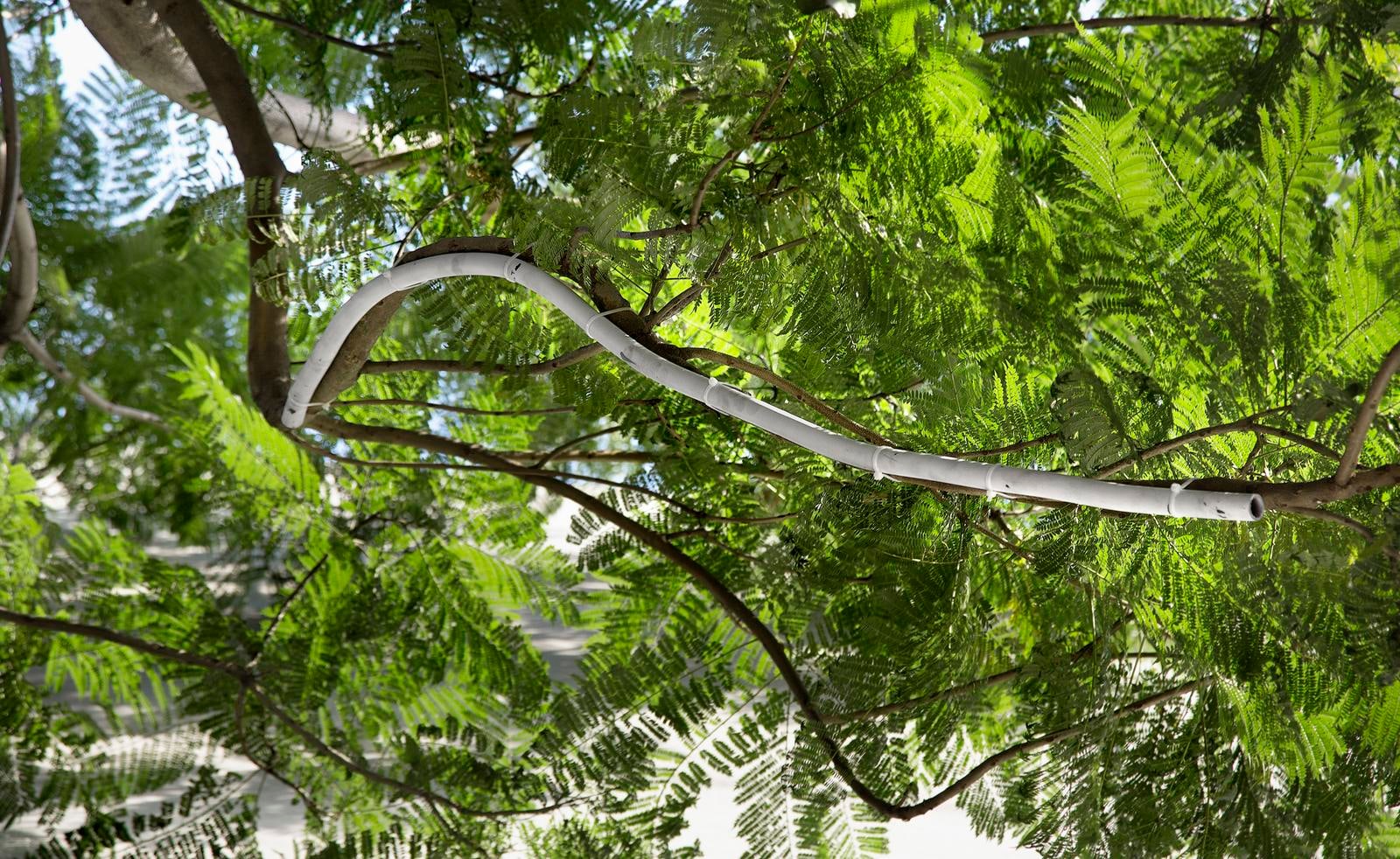 untitled (retru&amp;eacute;cano), 2013

set of 7, plumb pipes, copper pipes, paint, nylon

variable dimensions&amp;nbsp;

&amp;nbsp;

&amp;nbsp;