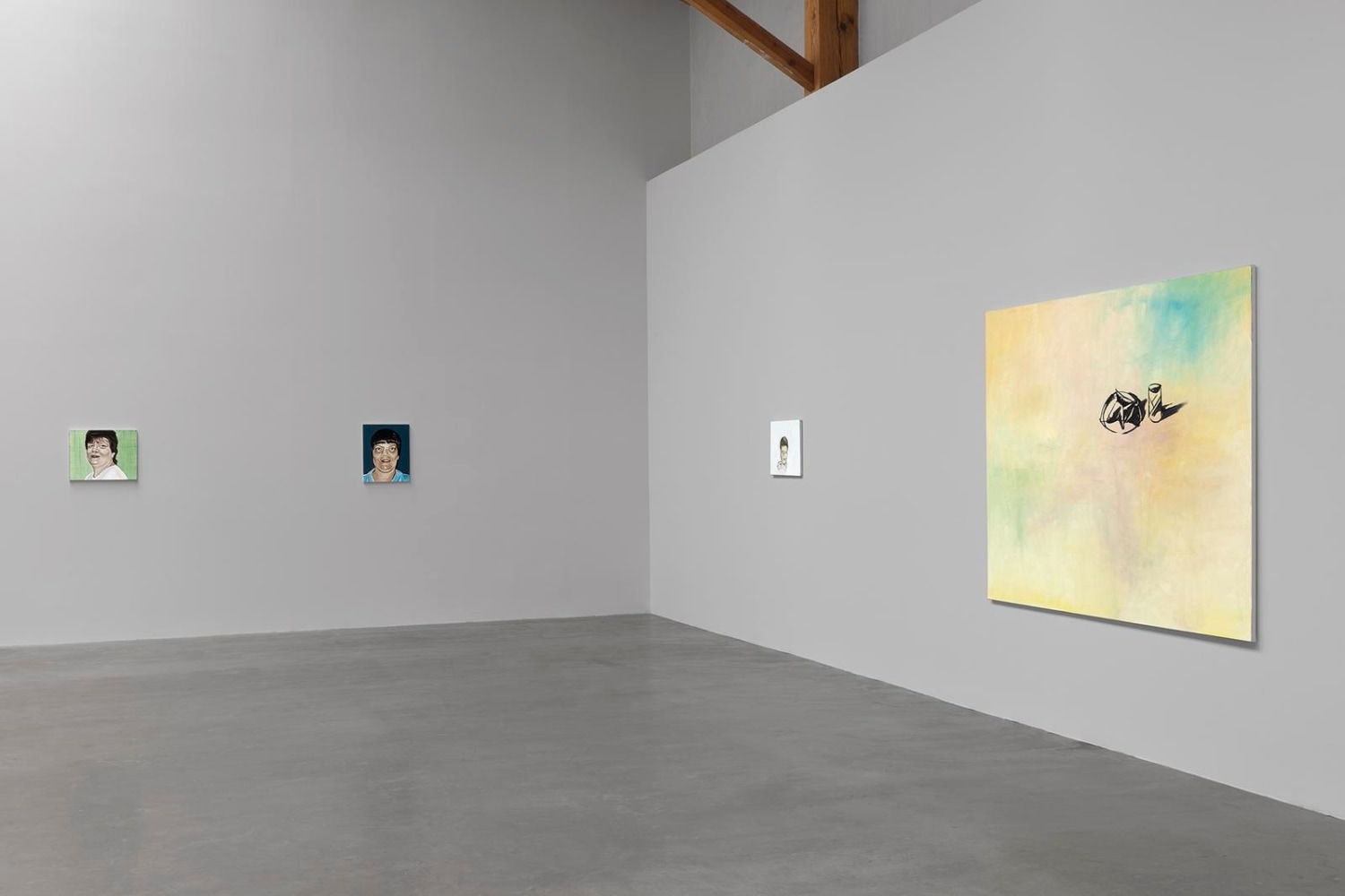 	wilhelm sasnal,&amp;nbsp;kurimanzutto, mexico city, mexico, 2011