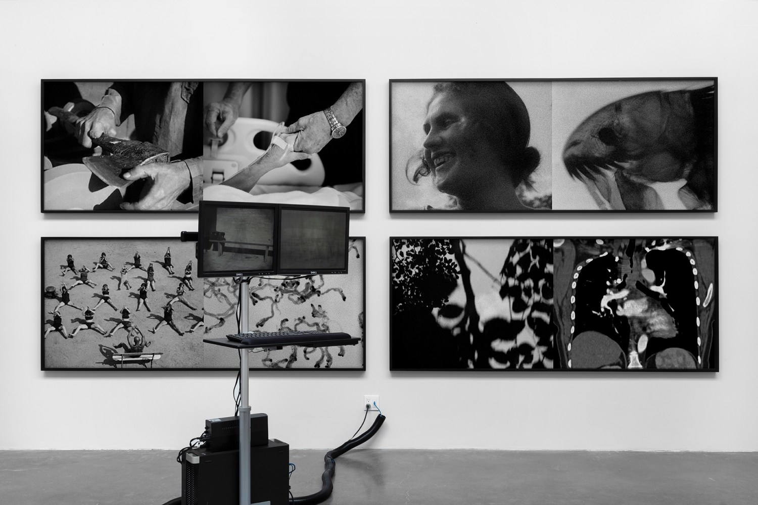 daniela rossell &amp;amp; galen jackson,&amp;nbsp;computer with an internet connection&amp;nbsp;in&amp;nbsp;siembra (sowing), kurimanzutto, mexico city, 2020