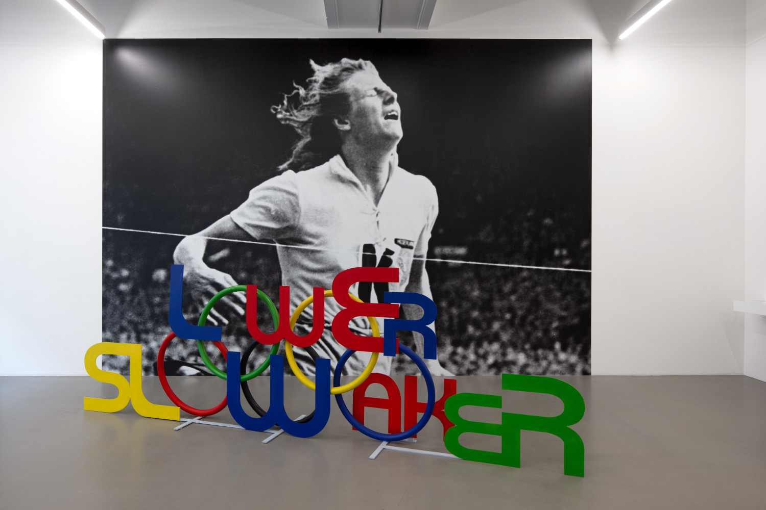 weaker lower slower, 2019

acero cromado

dimensiones variables