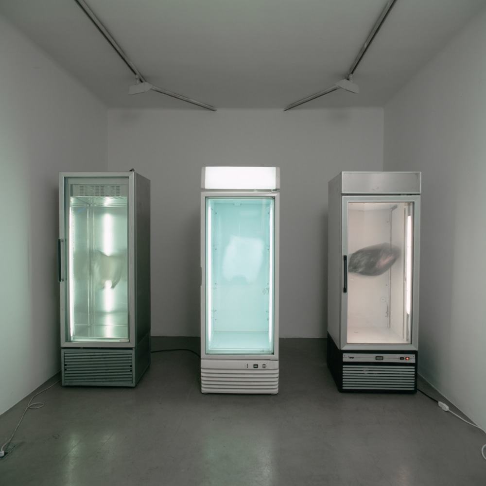 untitled (trinity), 2004

three working refrigerators, three hovering shopping bags

74.8 x 125.98 x 23.62 in.

&amp;nbsp;