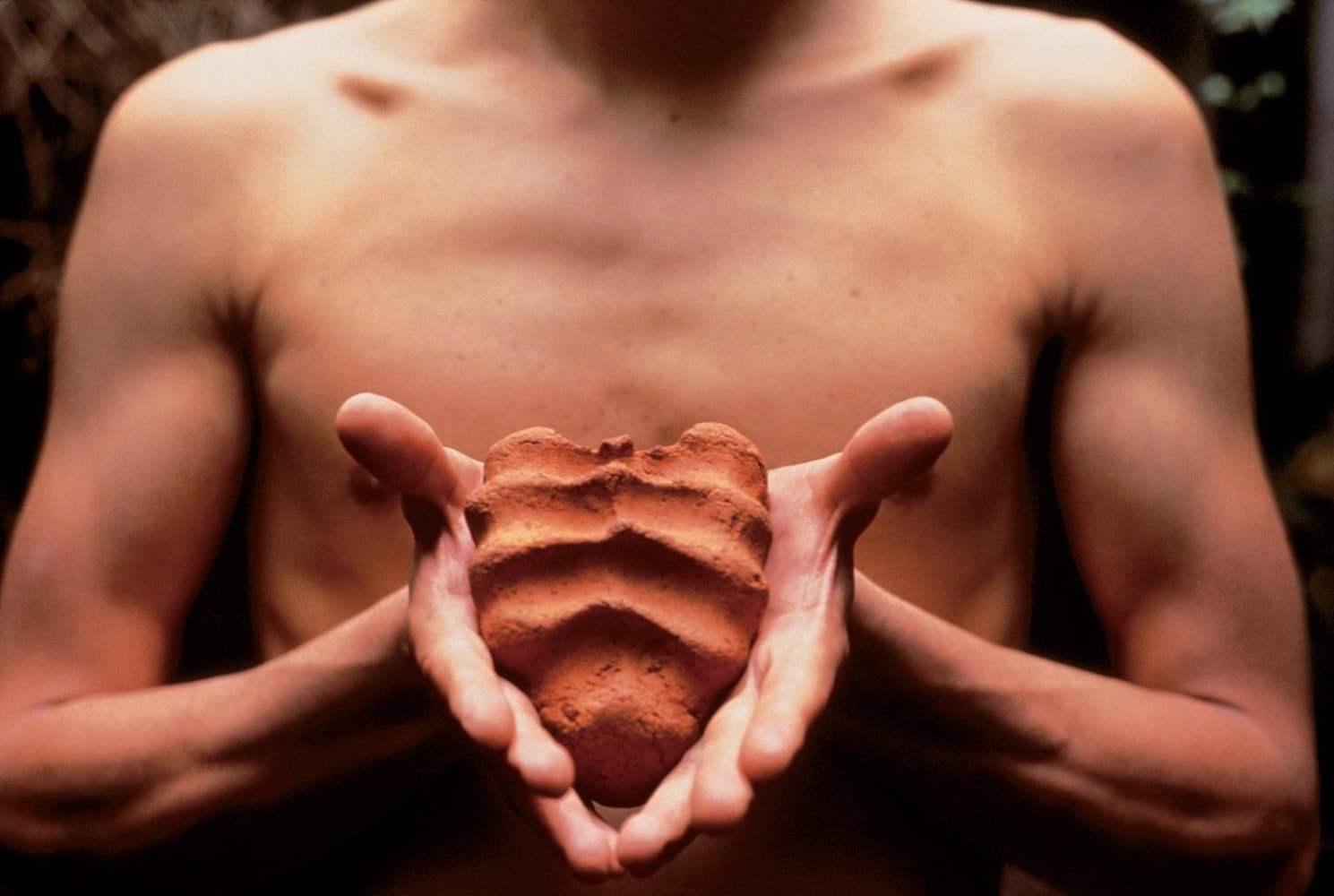 	mis manos son mi coraz&amp;oacute;n, 1993	2 impresiones sobre gelatina de plata	40.6 x 50.8 cent&amp;iacute;metros	parte de nuevas fotograf&amp;iacute;as, kurimanzutto, ciudad de m&amp;eacute;xico, 2002