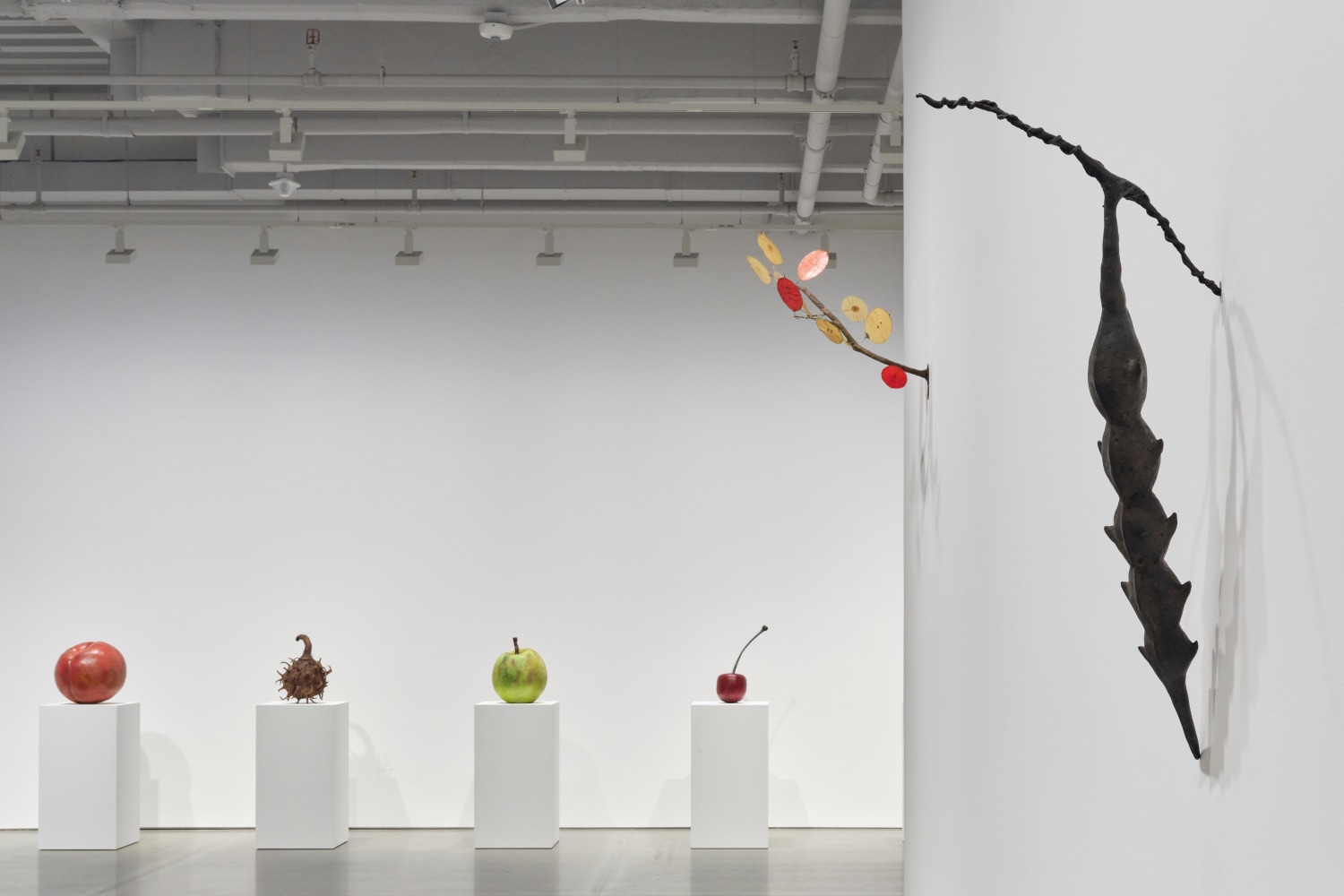 vista de instalaci&amp;oacute;n&amp;nbsp;ming fay: midnite porridge, kurimanzutto nueva york, 2025. foto: zach hyman