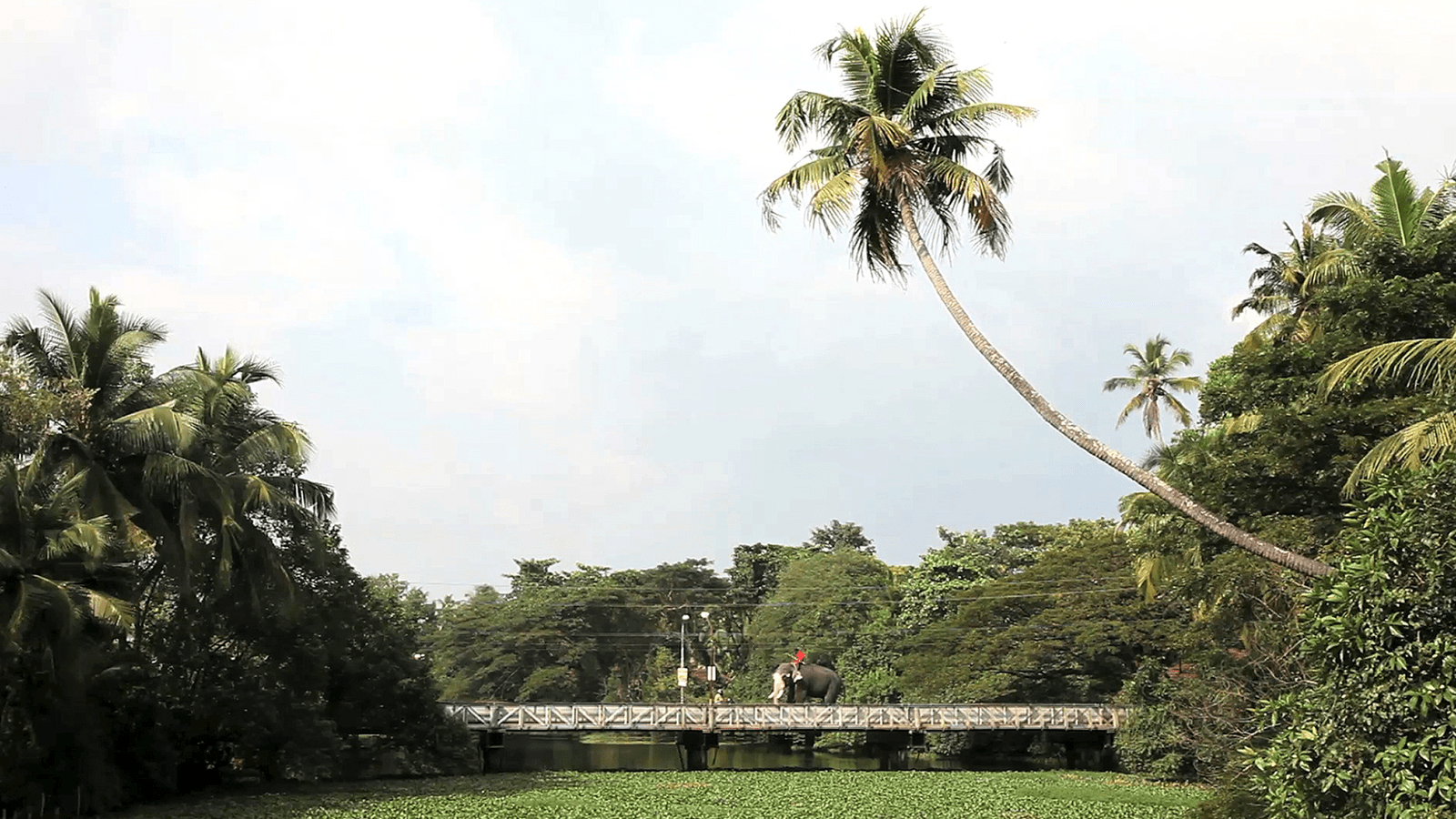 narrow day, 2011

video

4:54 min

&amp;nbsp;

&amp;nbsp;