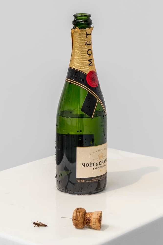 second chance I, 2013

champagne bottle with cork and no wire protector, cricket, pin

12.6 x 3.54 x 3.54 in.

installation view after bottle exploded

&amp;nbsp;

&amp;nbsp;

&amp;nbsp;