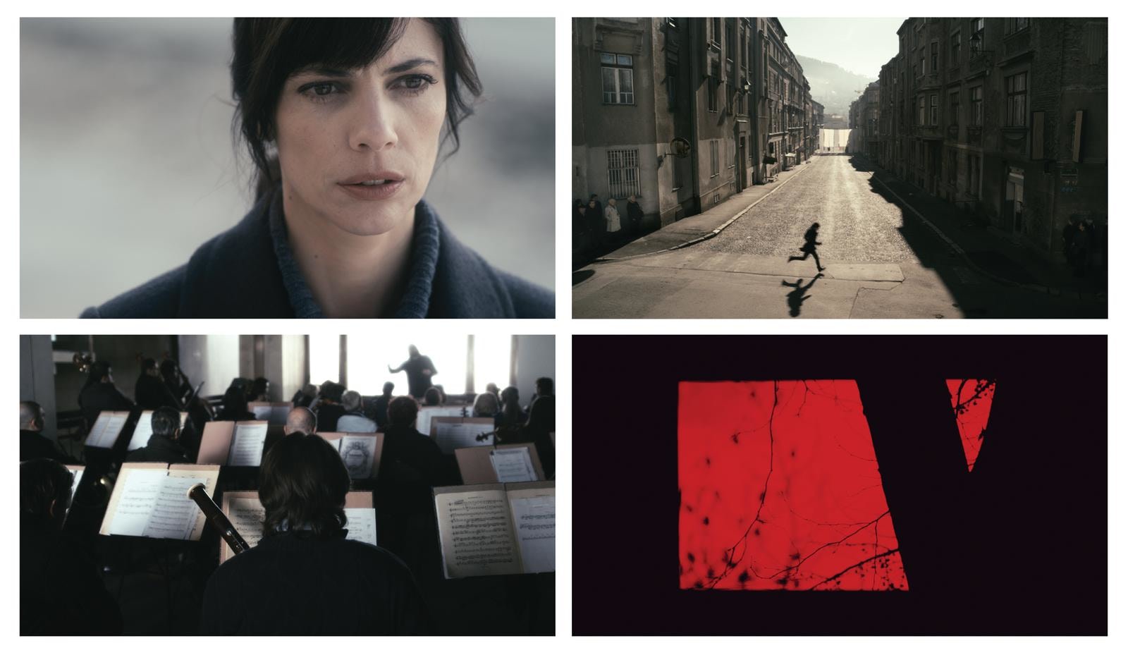 1395 days without red, 2011
in collaboration with liria begeja
from a project by sejla kameric and anri sala in collaboration with ari benjamin meyershd
hd colour video, surround sound 5.0
43:45 min