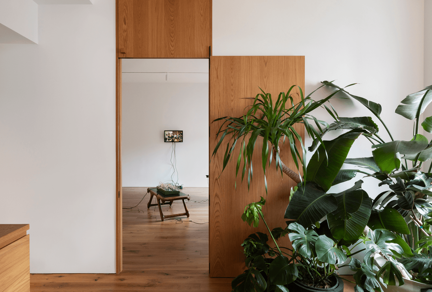 organ within, kurimanzutto, nueva&amp;nbsp;york, 2019