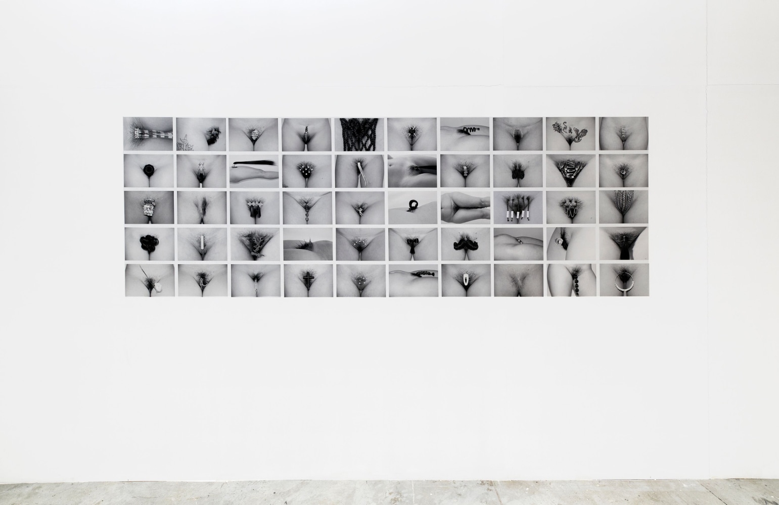 Amor entre cucas, 2019