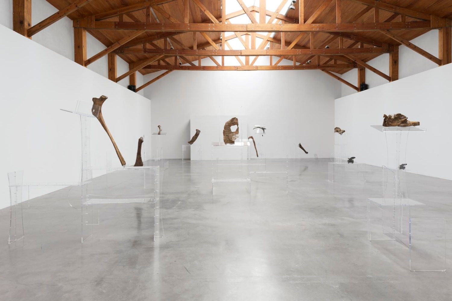 	allora &amp;amp; calzadilla, performative ellipses, 2016