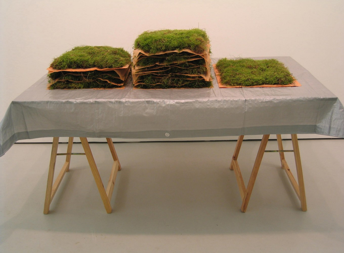 untitled (diario econ&amp;oacute;mico), 2004

trestle table, tarpaulin, damp moss,&amp;nbsp;damp newspaper

59.84 x 54.33 x 31.5 in.

&amp;nbsp;