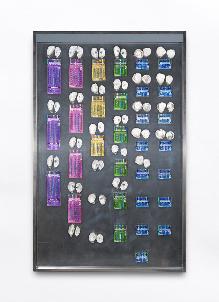 a taxonomy of chance, 2019
Mixed media in magnetic stainless steel vitrine with light
150 x 100 x 6.5 cm