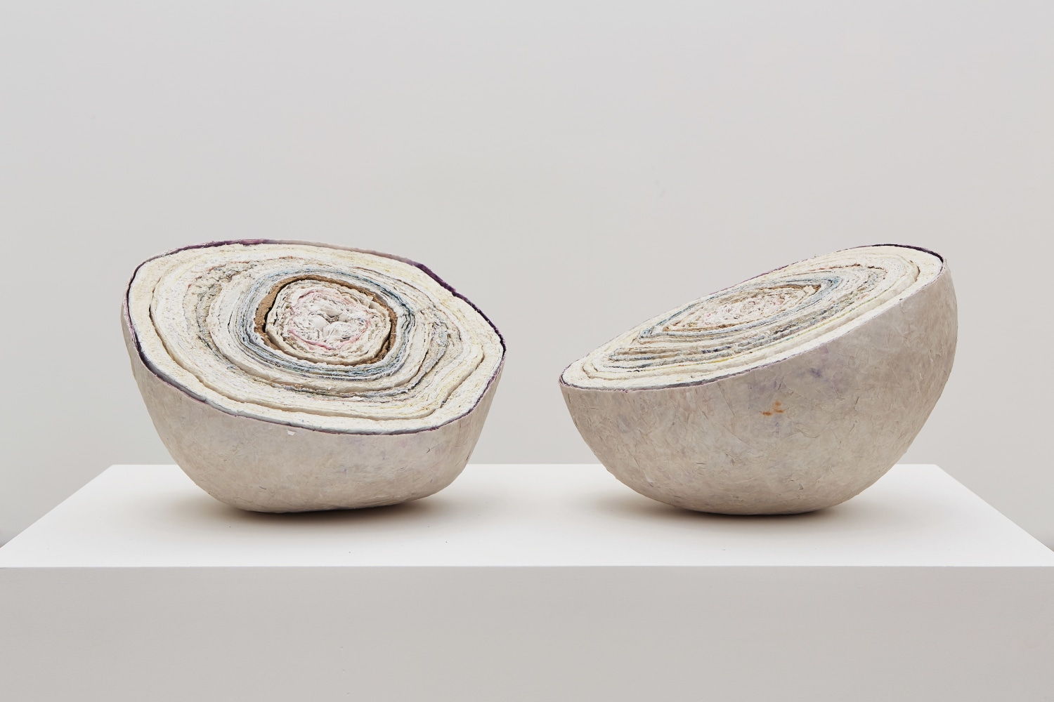 geoda 3: cebolla, 2014

tissue paper and dyed newspaper and white acid free adhesive

13.39 x 13.39 in.&amp;nbsp;each