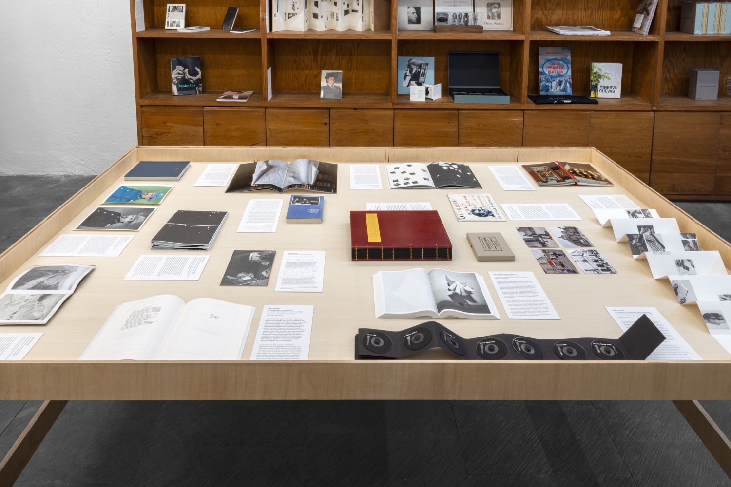 installation view of i&amp;ntilde;aki bonillas: books &amp;amp; editions, 1998&amp;ndash;2019, as part of from the archive, January 18&amp;ndash;21, 2024
