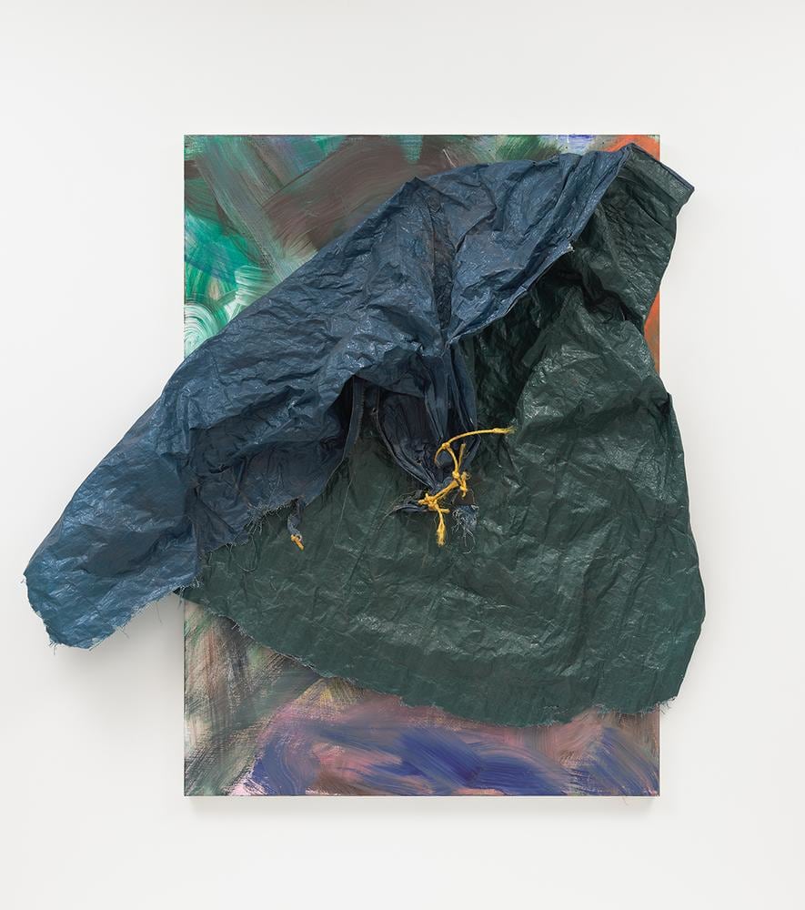 David Hammons Untitled 2017 acrylic on canvas, tarp 64 x 46 inches (162.6 x 116.8 cm) (canvas size)