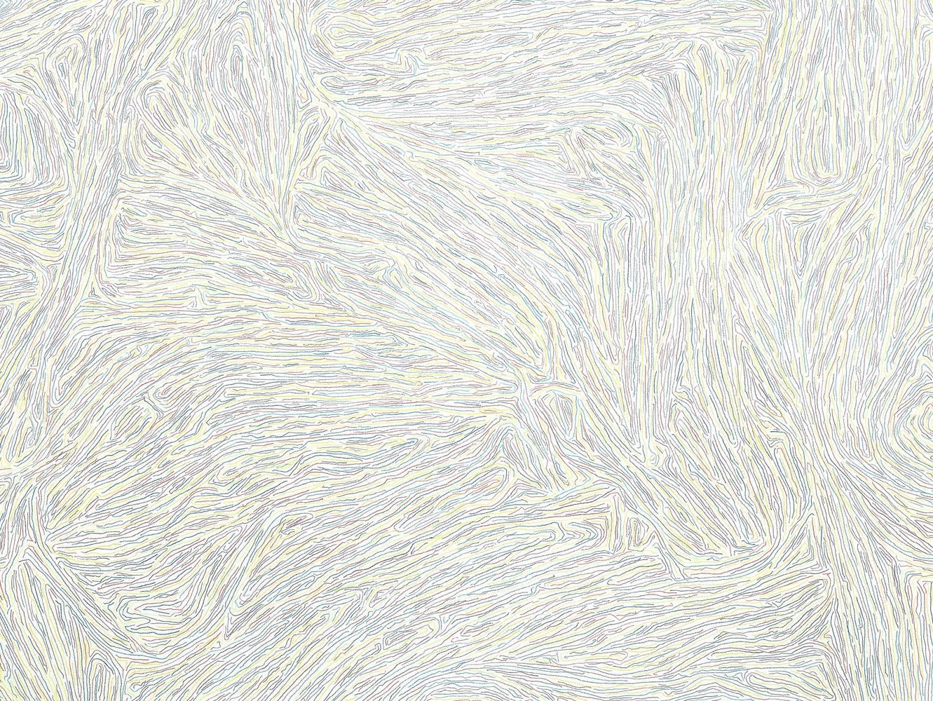 Sol LeWitt
Wall Drawing #69 (detail)
1971
colored pencil on wall
dimensions variable