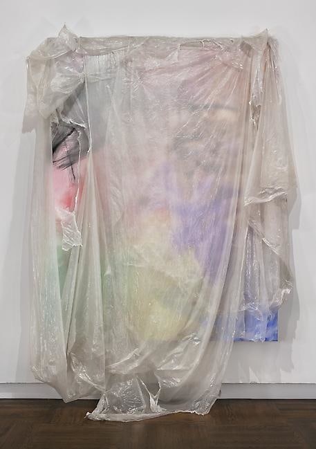 David Hammons

Untitled
2010
acrylic on canvas, tarp
92 x 72 inches (233.7 x 180.3 cm) (canvas size)

Photography by Tom Powel Imaging, Inc.