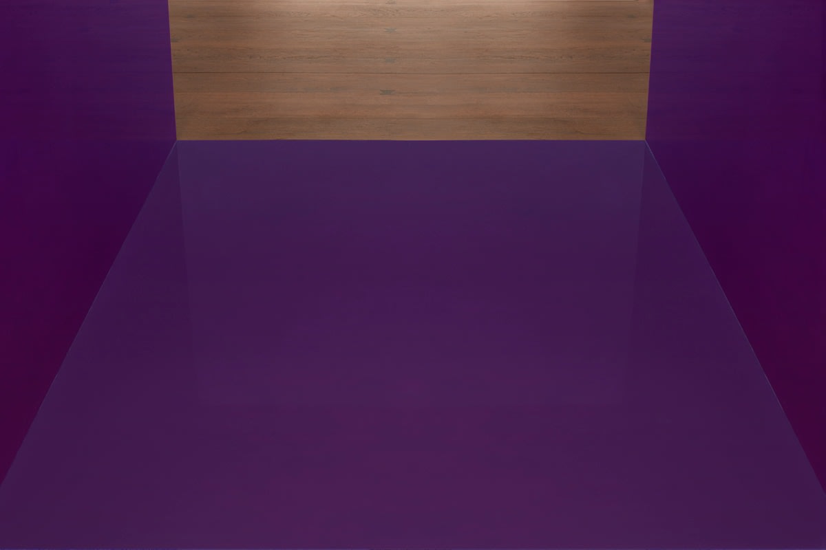 Detail - Untitled (DSS 179)
1969
clear anodized aluminum and violet Plexiglas
33 x 68 x 48 inches (83.8 x 172.7 x 122 cm)