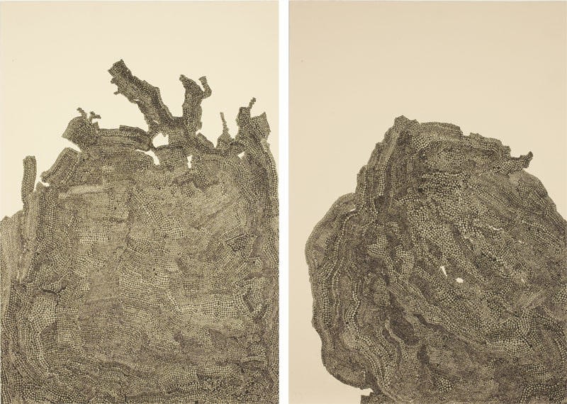 Analogous Mountain (State III) 
2008
hand-printed lithograph
16 1/2 x 11 3/8 inches (41.9 x 28.9 cm) each
1/14