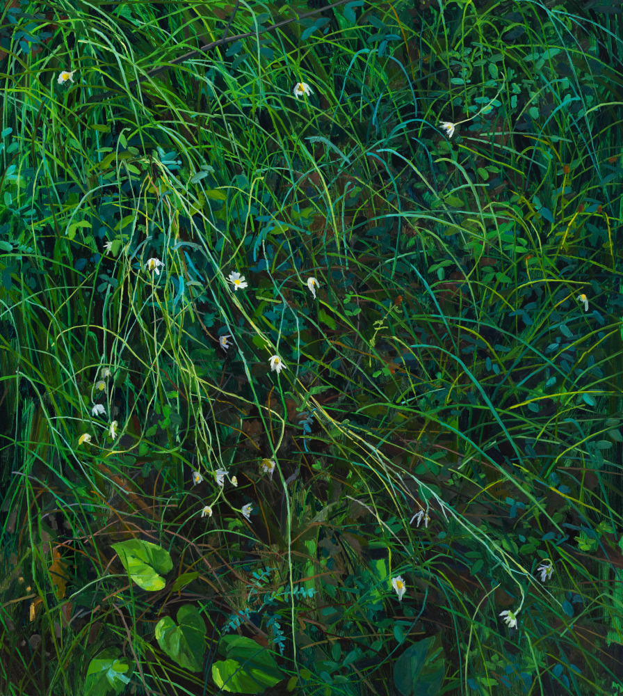 Claire Sherman
Wildflowers and Grass,&amp;nbsp;2020

Oil on canvas

60 x 54 in