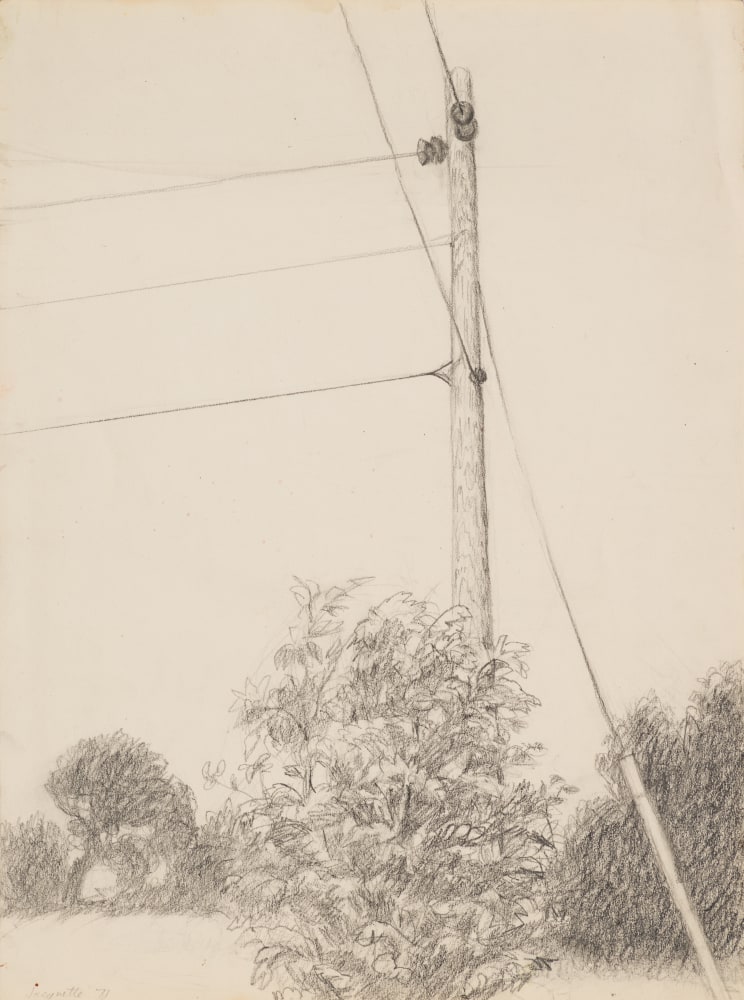 Tel Pole with Bushes (Pine + Pole), 1971 Signed, titled, and dated on verso Pencil on paper 11 x 8 1/2 inches