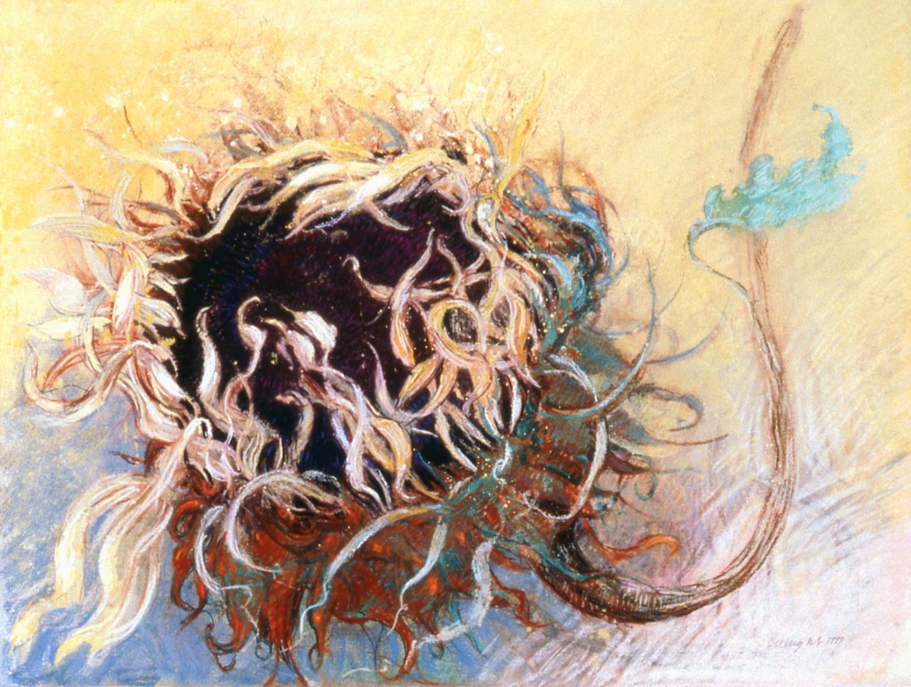 Jimmy Wright
Sunflower with Blue Leaf, 2000
Pastel on Lanaquarelle paper
22 x 30 inches