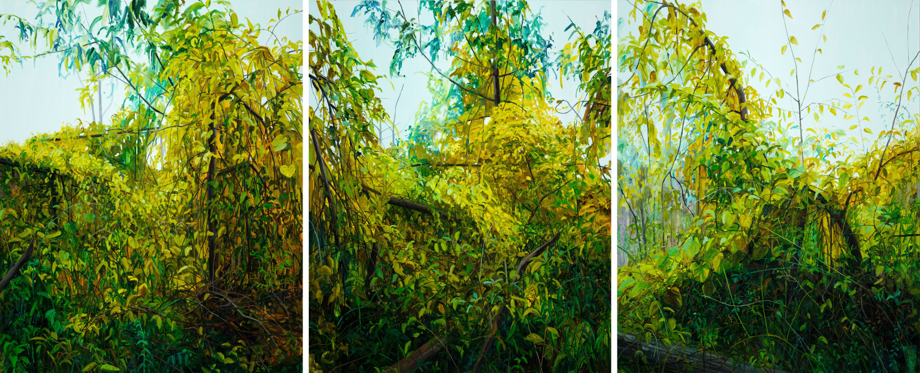 Claire Sherman, Trees and Vines, 2021. Oil on canvas, 96 x 234 inches