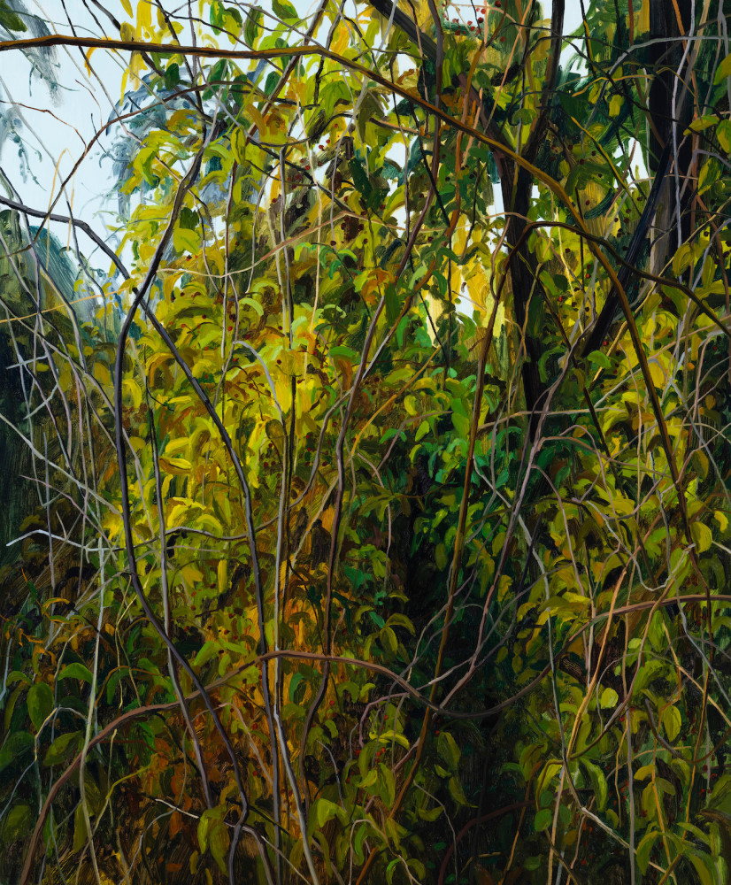 Claire Sherman, Trees and Vines, 2022. Oil on canvas, 72 x 60 inches