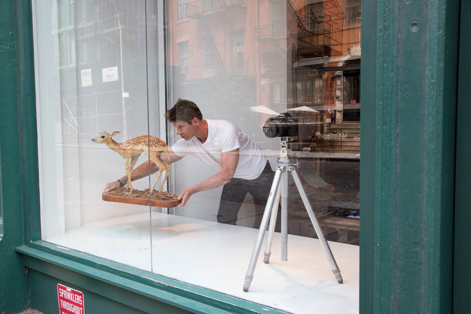 Those Who Dare: Group Exhibition