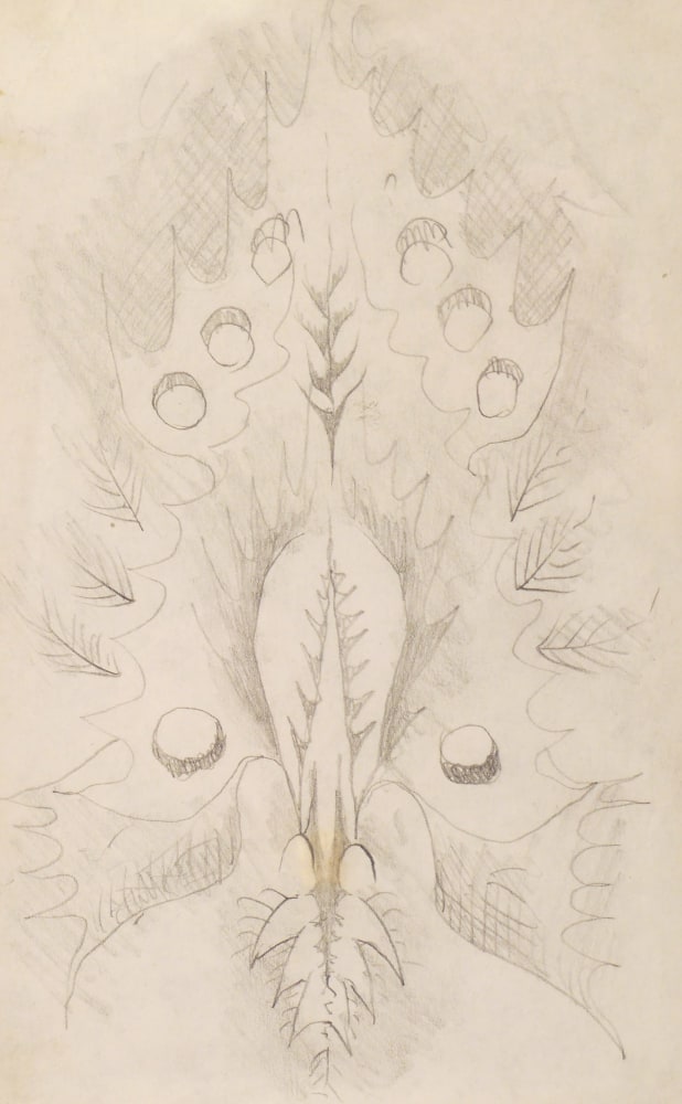 Doodle 4, n.d.

Pencil on paper

8 x 5 inches (paper)