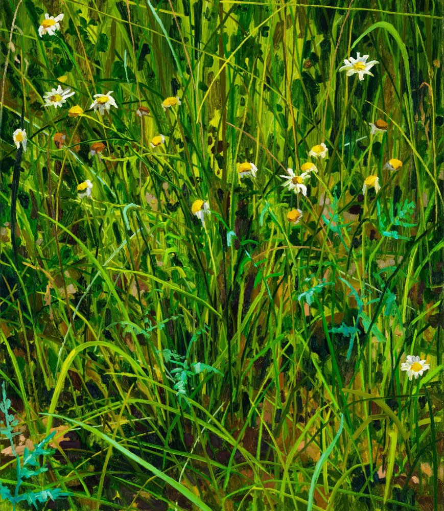 Claire Sherman, Wildflowers, 2020. Oil on canvas, 30 x 26 inches