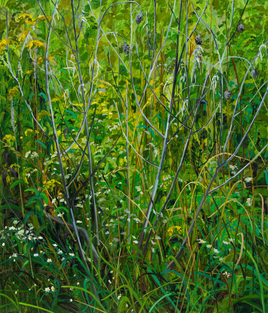 Wildflowers, 2023. Oil on canvas, 42 x 36 inches