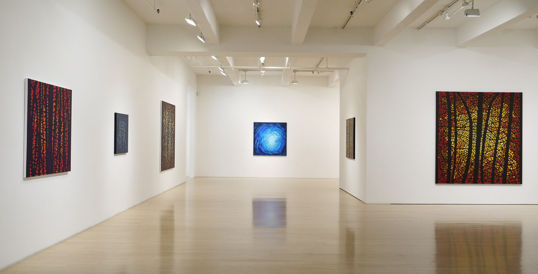 Katia Santiba&ntilde;ez: Lumens Anima