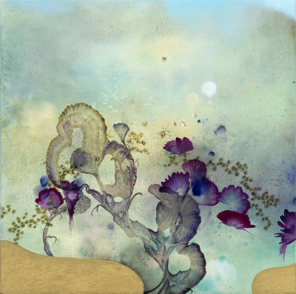 Night Blossoms, 2023. Oil on wood panel, 16 x 16 inches