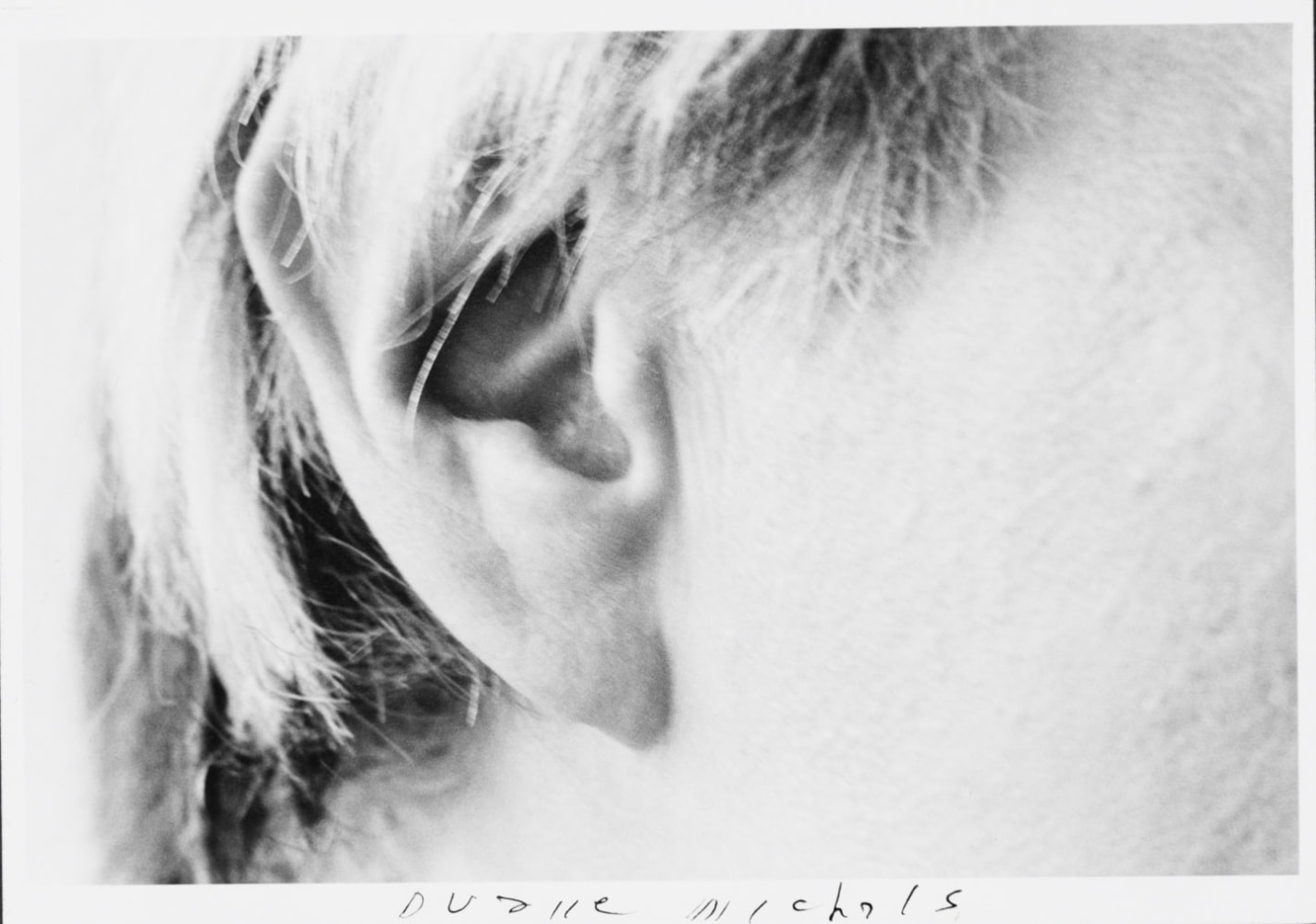 Andy Warhol (Close Up of Face), c. 1980
Three gelatin silver prints
4 1/2 x 6 3/4 inches (each image)
5 x 7 inches (each paper)