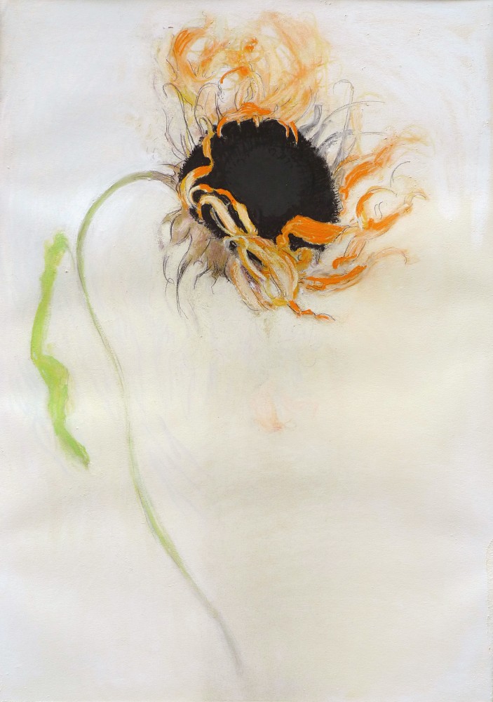 Sunflower (Black), 2010. Pastel on paper, 41 x 29 inches.